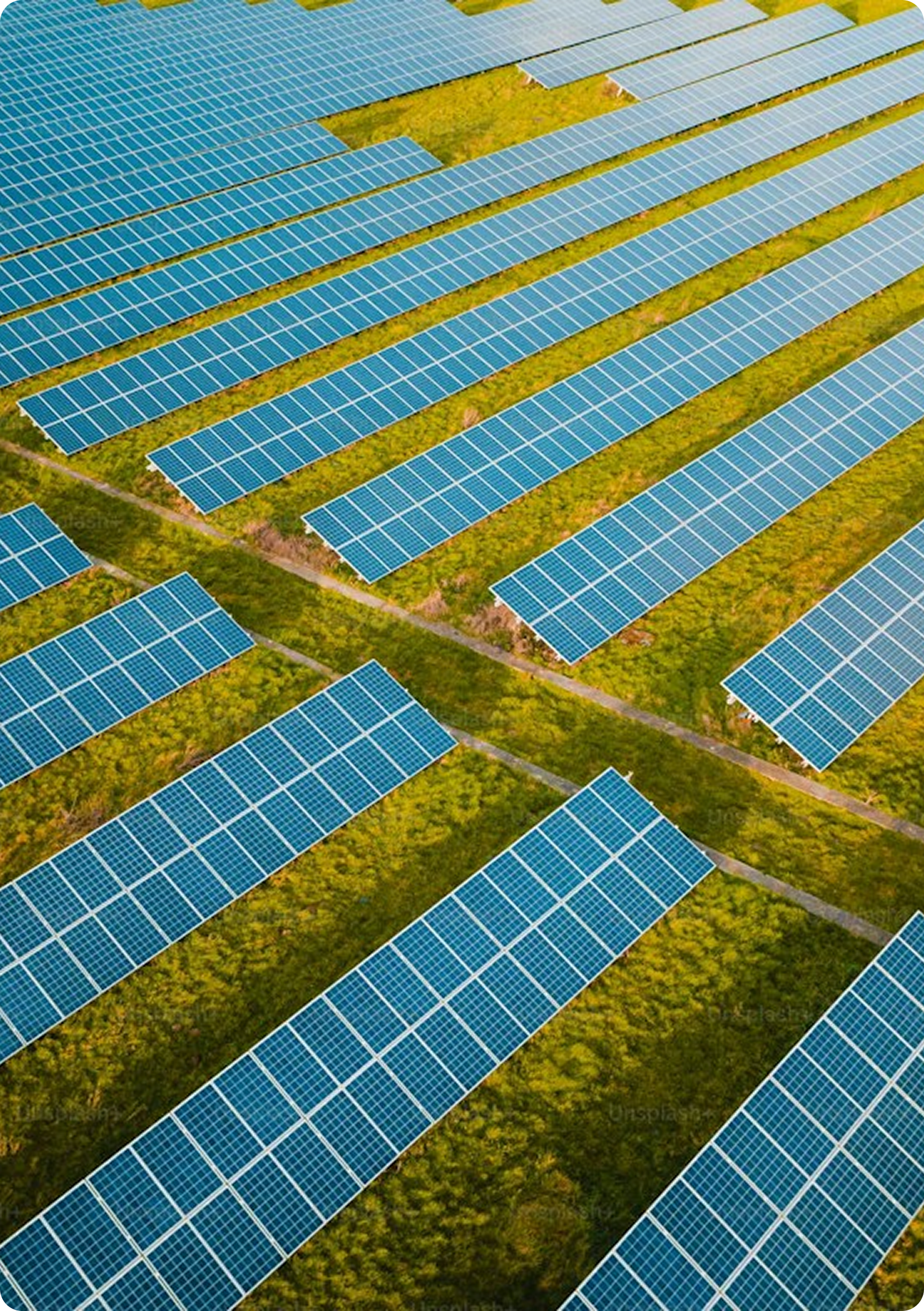 Solar farm with rows of solar panels